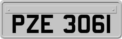 PZE3061