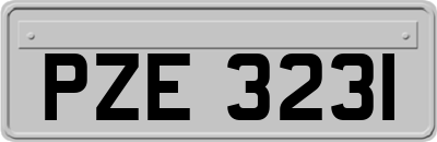 PZE3231