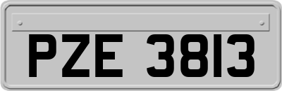 PZE3813