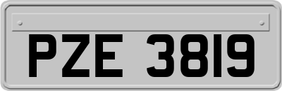 PZE3819