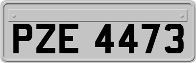 PZE4473