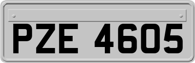 PZE4605