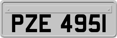 PZE4951