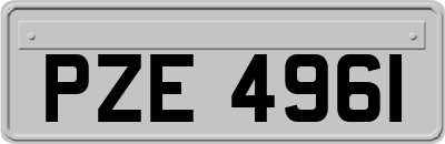 PZE4961