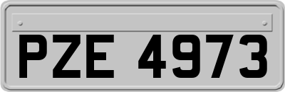PZE4973