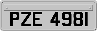 PZE4981