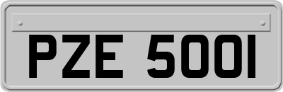PZE5001