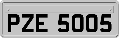 PZE5005