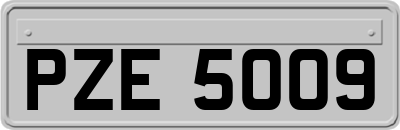 PZE5009