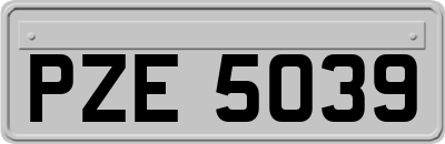 PZE5039