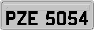 PZE5054