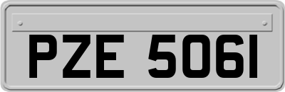 PZE5061