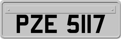 PZE5117