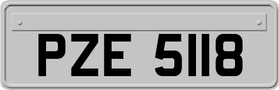 PZE5118