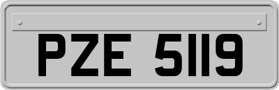 PZE5119