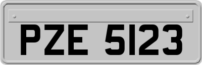 PZE5123