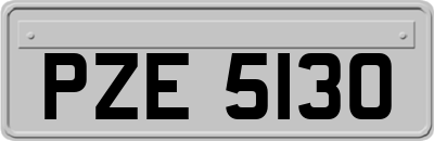 PZE5130