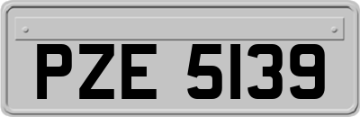 PZE5139