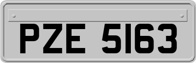 PZE5163