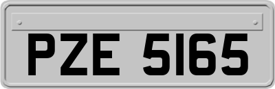 PZE5165