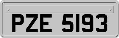 PZE5193