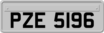 PZE5196