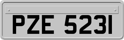 PZE5231