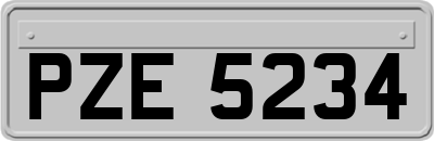 PZE5234