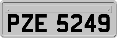 PZE5249