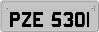 PZE5301