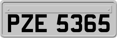 PZE5365