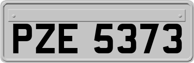 PZE5373