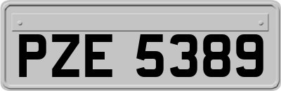 PZE5389