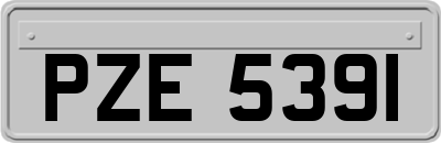 PZE5391