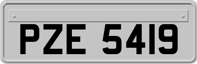 PZE5419