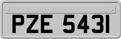 PZE5431