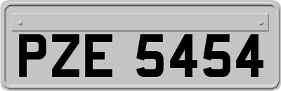 PZE5454