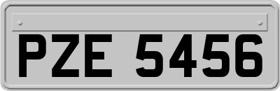 PZE5456