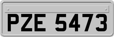 PZE5473