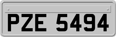 PZE5494