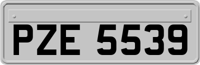 PZE5539