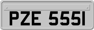 PZE5551