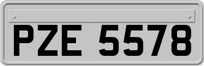 PZE5578