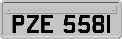 PZE5581