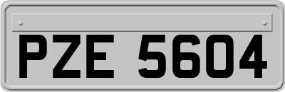 PZE5604