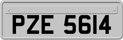PZE5614
