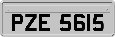 PZE5615