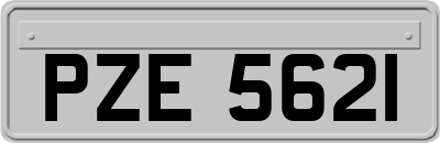 PZE5621