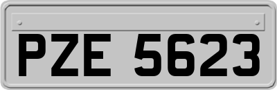 PZE5623