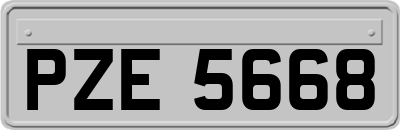 PZE5668